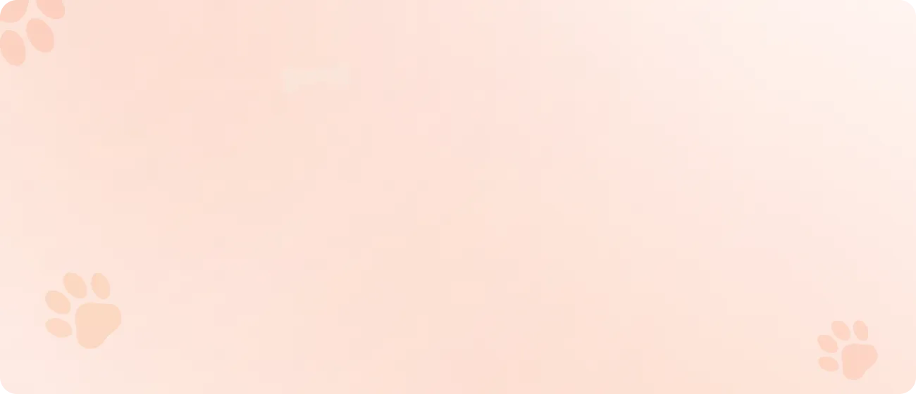 Certification Background