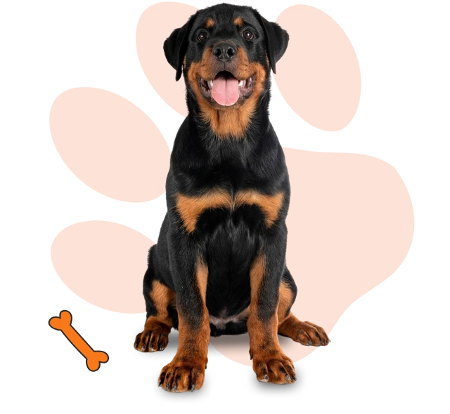 Build a world-class team