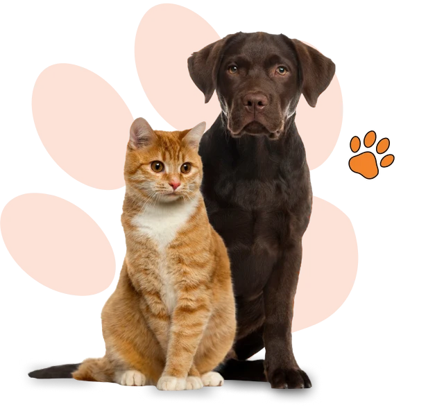 Strengthen reputation & repeat bookings.