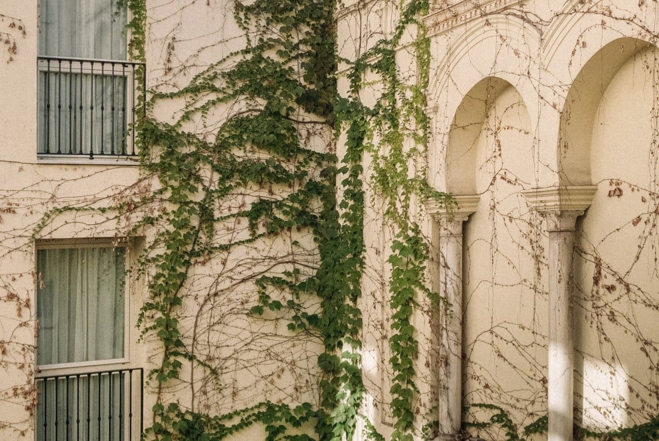 1381-common-areas-petit-palace-santa-cruz-patio