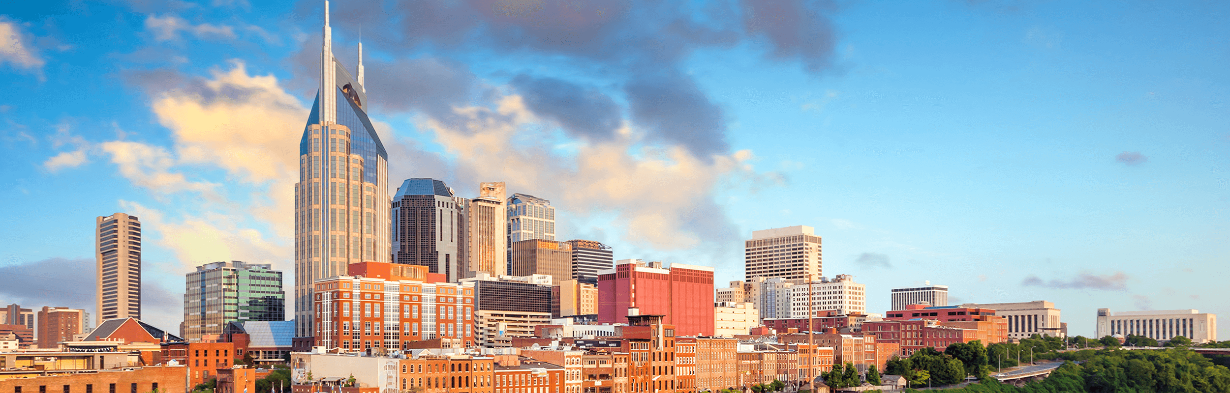 Nashville_Skyline