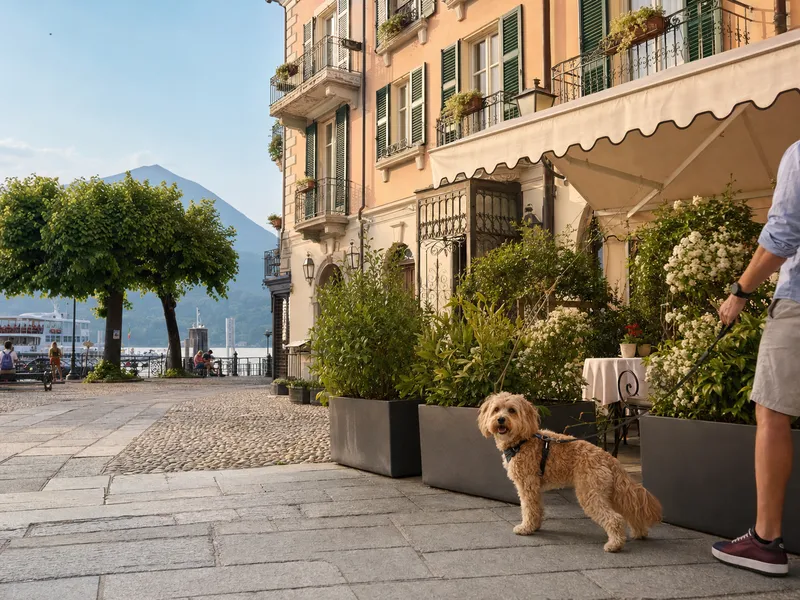 hotel-du-lac-menaggio-card-dog-800x600