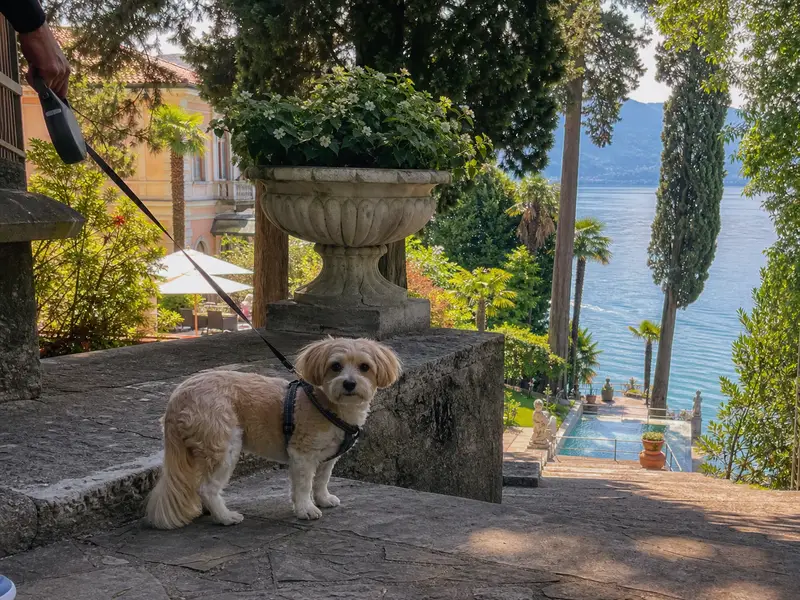 hotel-monte-baldo-villa-acquarone-carta-cane-800x600