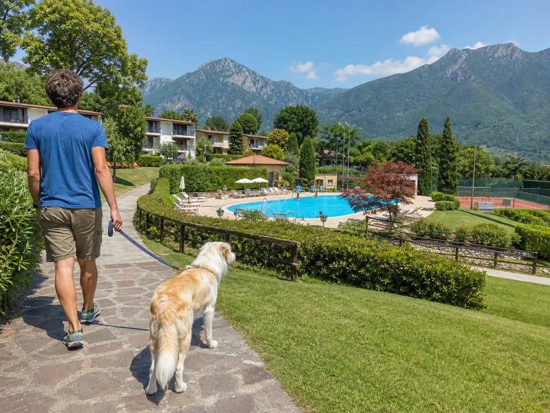 Leashed dog beside pool and sports grounds inspired by Hotel Residence Campi in Tremosine