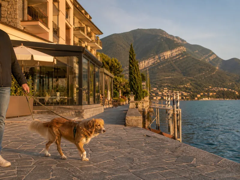 Hund an der Leine vor dem Hotel Araba Fenice am Seeufer des Iseosees