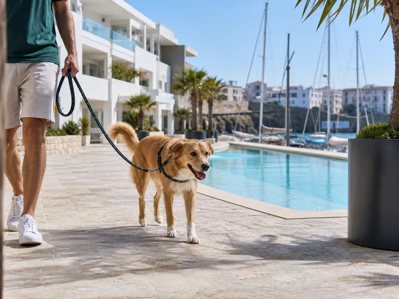 Hund an der Leine vor dem Cala Ponte Hotel