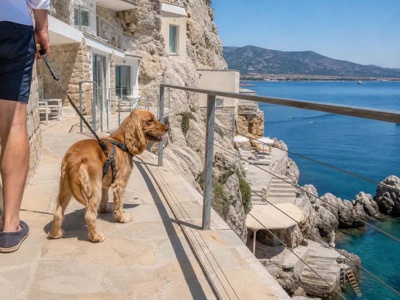 Hund an der Leine vor dem Hotel Kalura