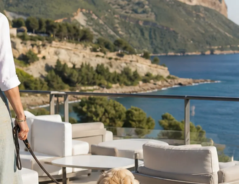 hotel-les-roches-blanches-cassis-card-dog-800x600