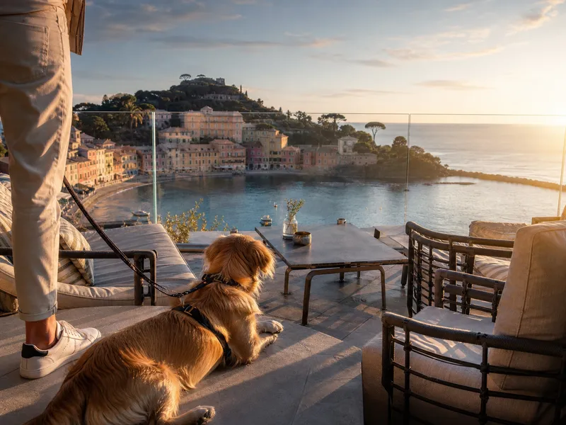 Dog on a lead on the panoramic terrace of Hotel Vis à Vis in Sestri Levante