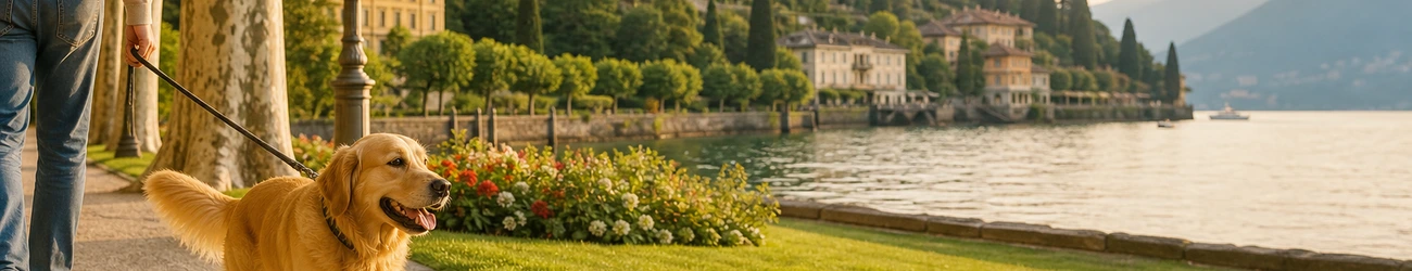 Cane al guinzaglio nei giardini a lago di Cernobbio