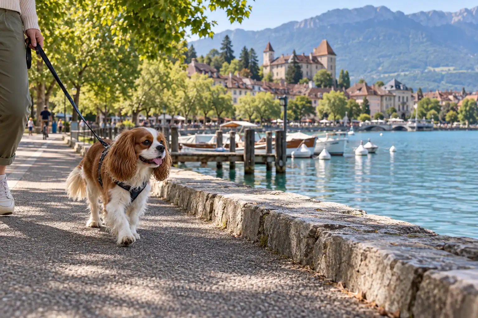 Leashed dog walking beside Lake Annecy with boats, old-town rooftops and alpine hills behind