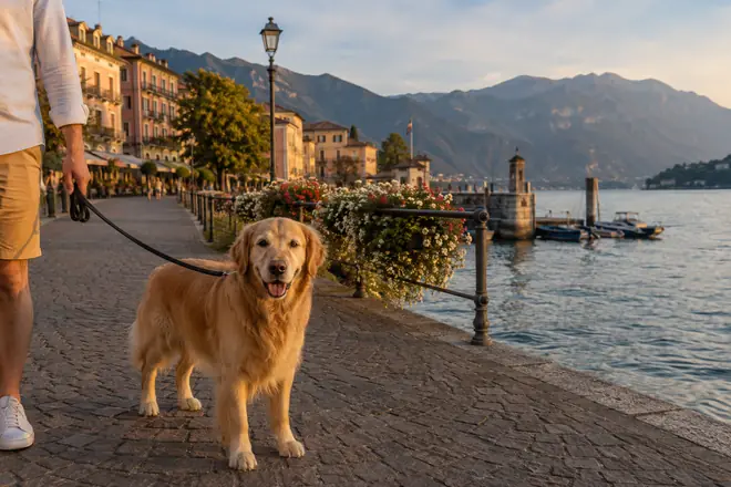 on a lakeside promenade by a small harbour, mountains rising across the lake